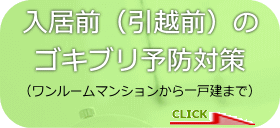 入居前(引越前)のゴキブリ予防対策