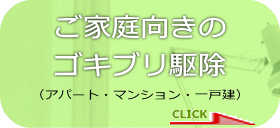 ご家庭向きのゴキブリ駆除