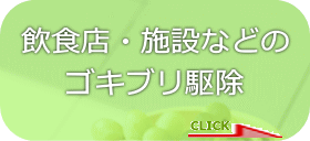 飲食店・施設などのゴキブリ駆除