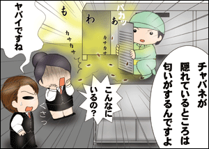 調査当日、TKCは長年の経験で培った知識をもとに、いくつかのポイントをチェックしてみると、そこには薬剤処理はされていなく、大量のチャバネゴキブリが巣を作っていた。