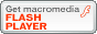 Adobe Flash Player