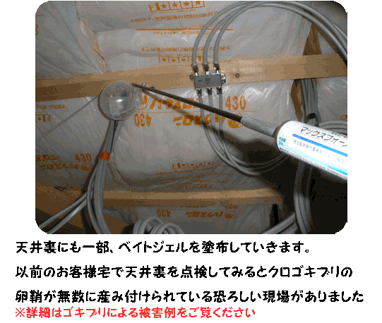 ゴキブリ予防対策
